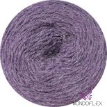 3121 Purple Melange